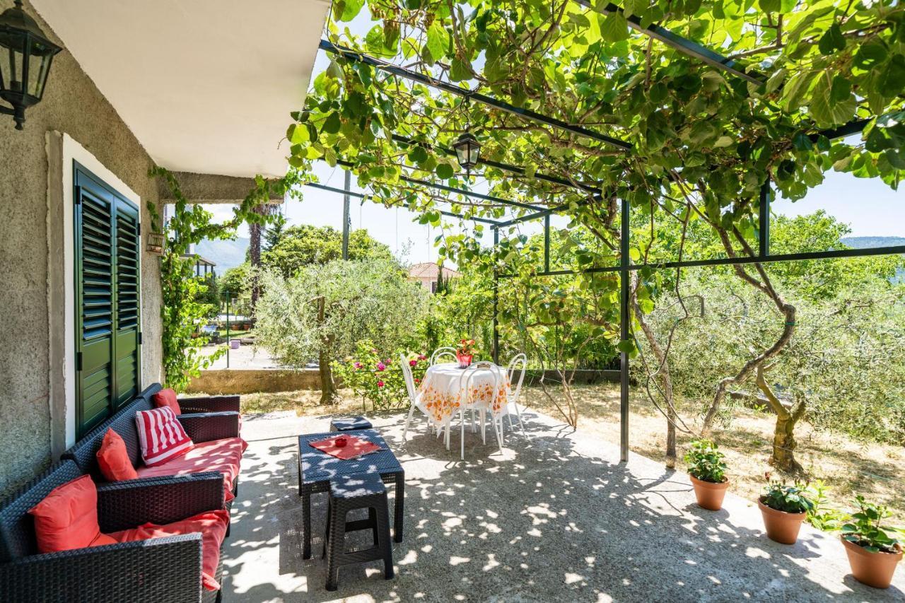 Apartment Laurel Leaf Lovorno 외부 사진