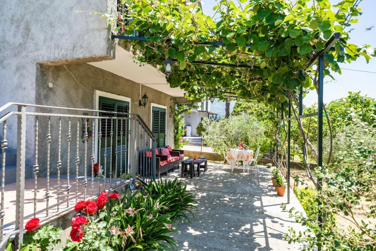Apartment Laurel Leaf Lovorno 외부 사진